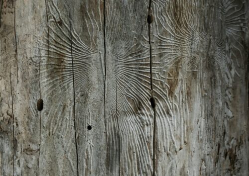 A wooden fence with a bird carved on it